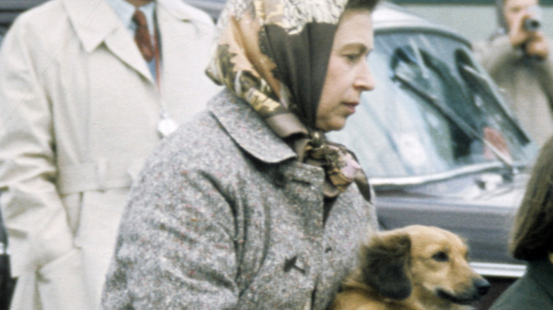 Queen Elizabeth II carrying dog 