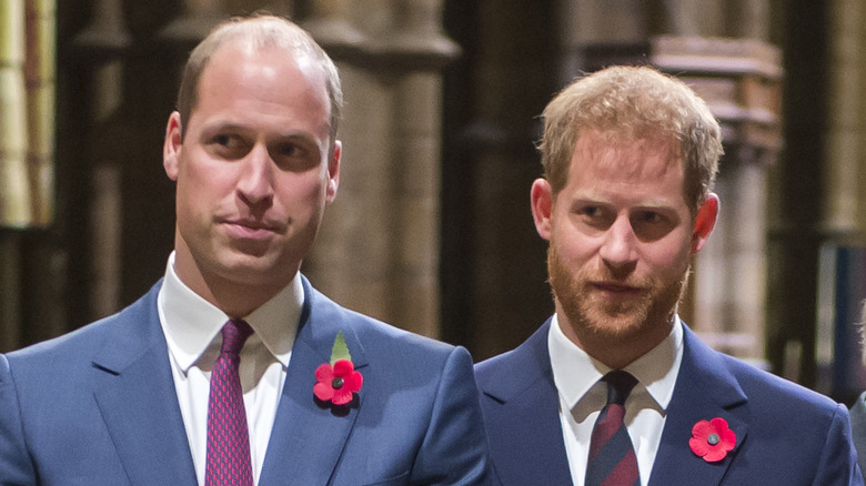 Prince Harry and Prince William at a royal event 