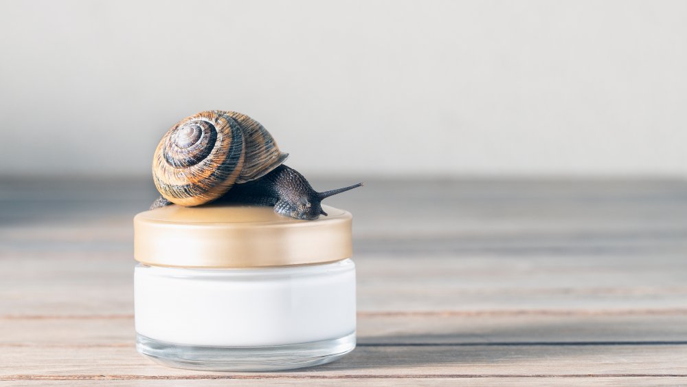 Snail mucin