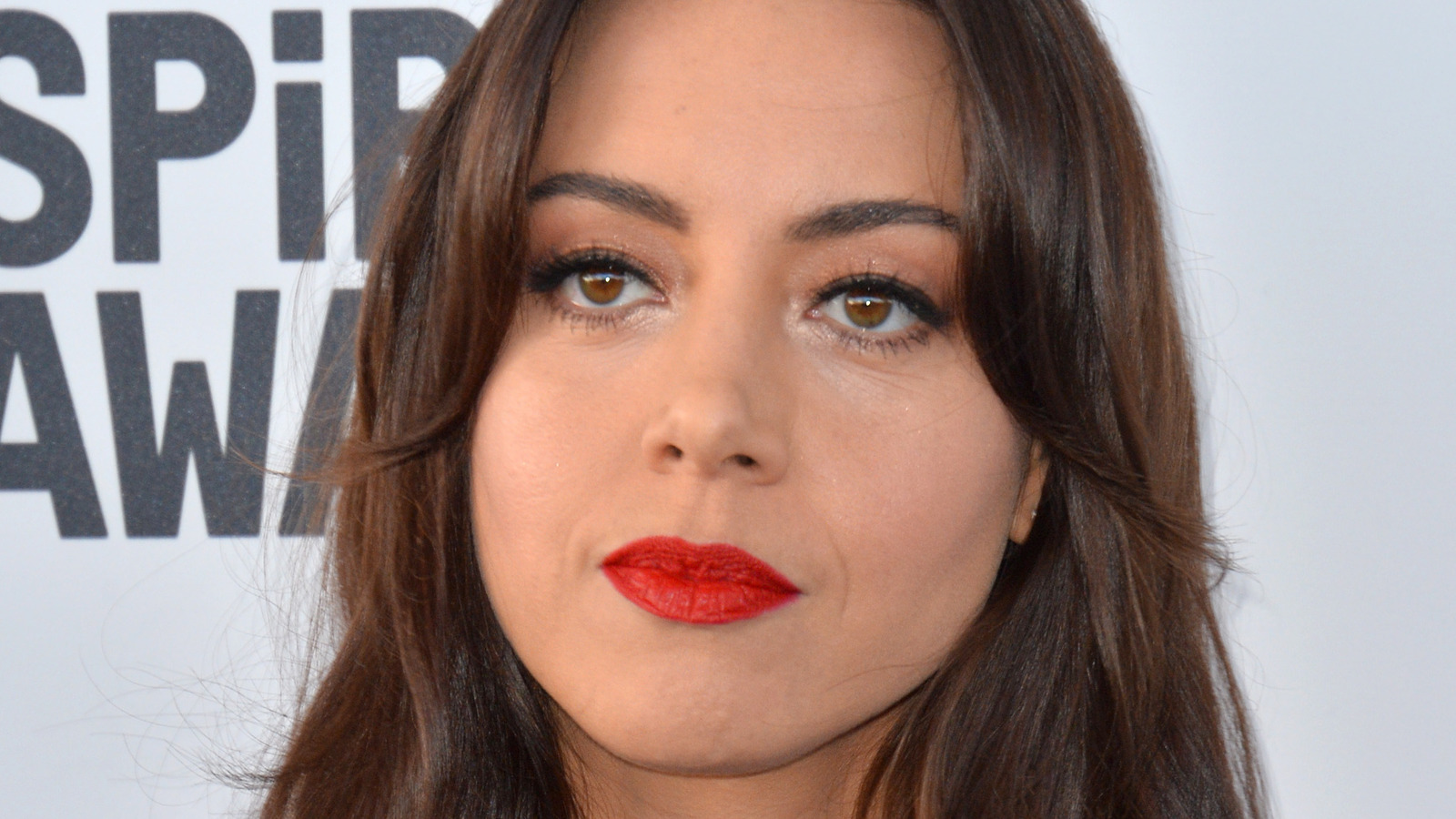 The Cartoon Characters You Never Realized Were Voiced By Aubrey Plaza 