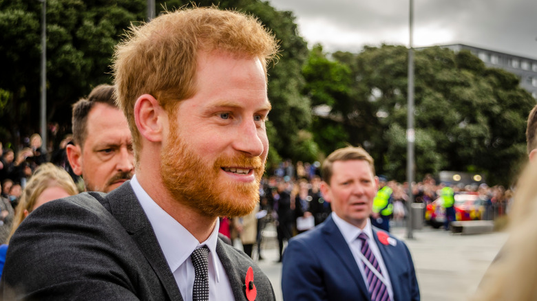 Prince Harry greets onlookers