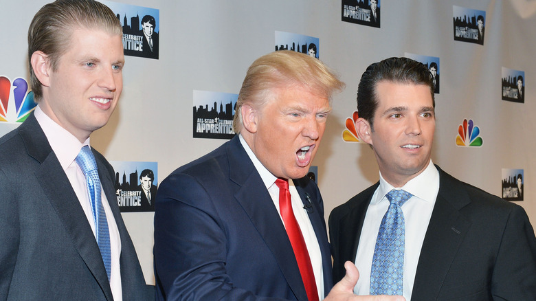 Eric, Donald, and Donald Trump Jr. posing 