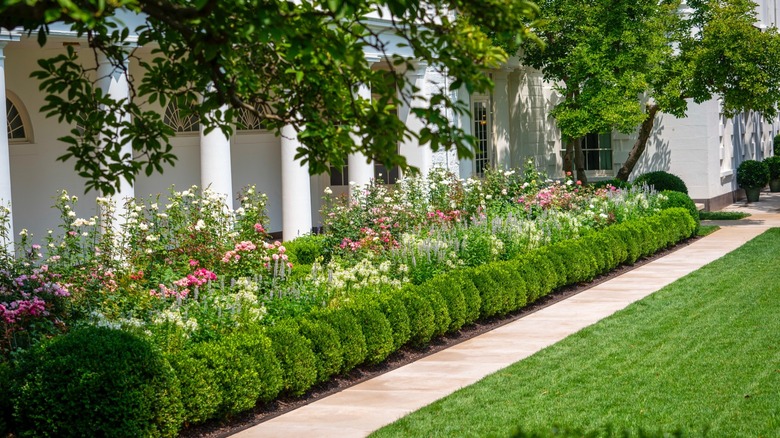 Photo of Rose Garden in full bloom