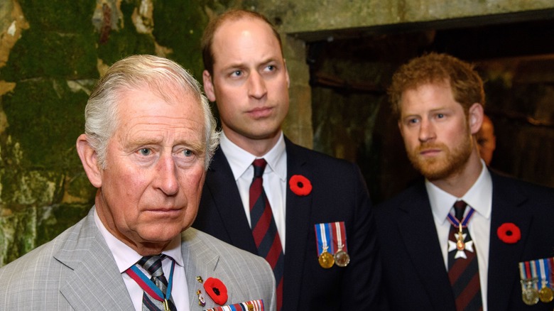 Prince Charles, Prince William and Prince Harry look grumpy