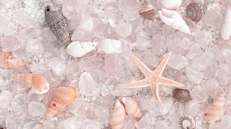 Rose Quartz surrounded by shells