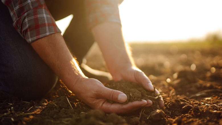 man holding dirt