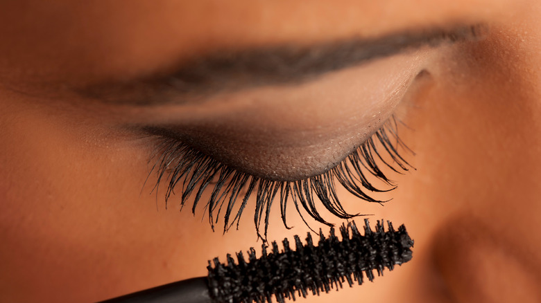 Close-up of woman's lashes