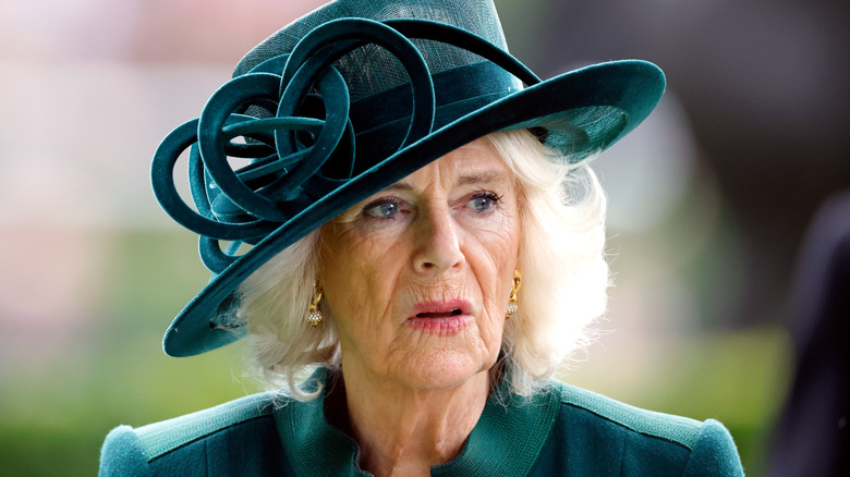 Queen Camilla looking surprised