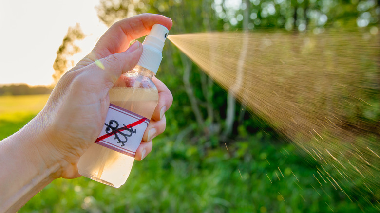 DIY bug spray