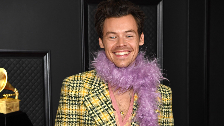 Harry Styles in purple boa