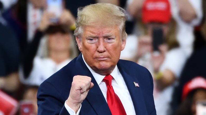 Former President Donald Trump raising a fist