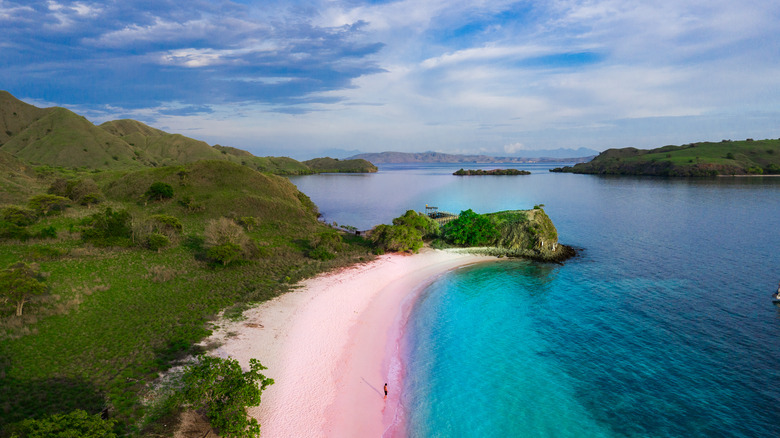 Pink sand beach