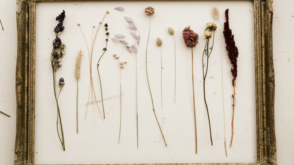 Dried flowers