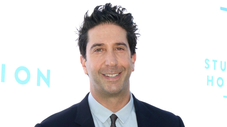 David Schwimmer smiling