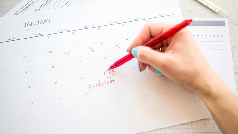 Woman marking ovulation calendar