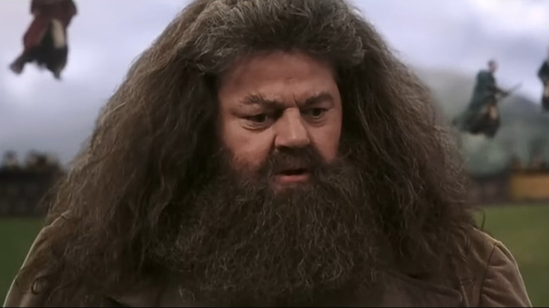 The character of Hagrid from Harry Potter 