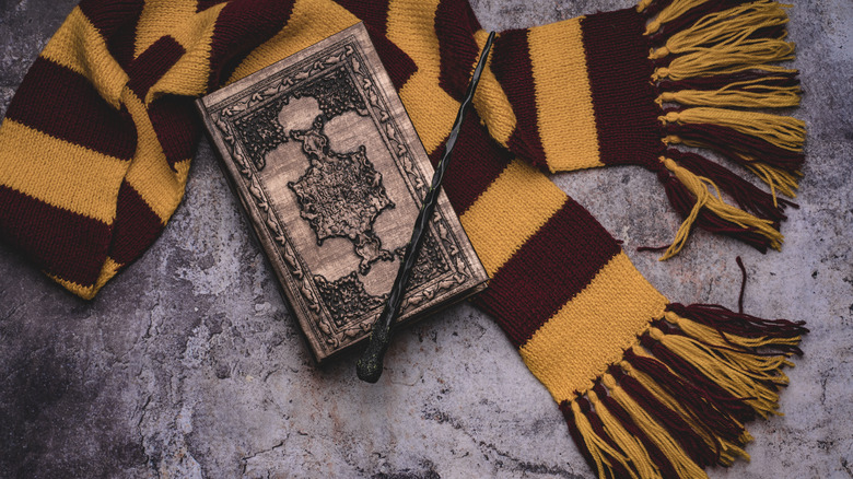 Gryffindor scarf, book, and wand