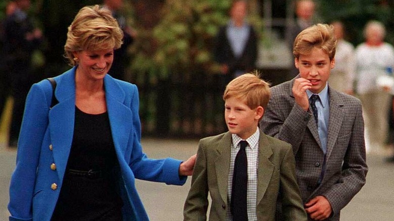 Princess Diana with Prince Harry and Prince William