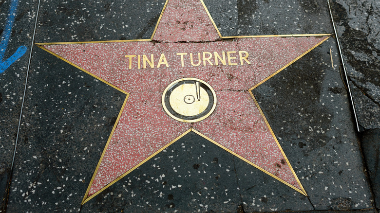 Tina Turner Hollywood Walk of Fame star.