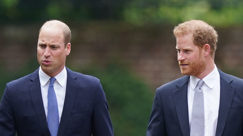 Princes William and Harry at Diana's statue unveiling