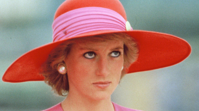 princess diana pink hat