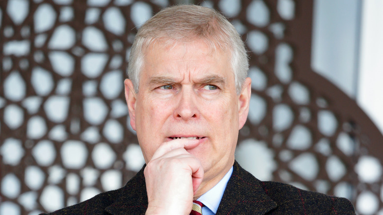 Prince Andrew looks puzzled