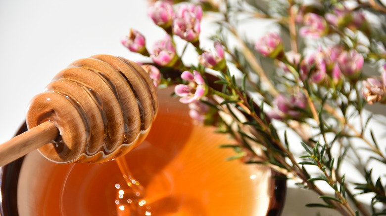 Manuka honey and flowers