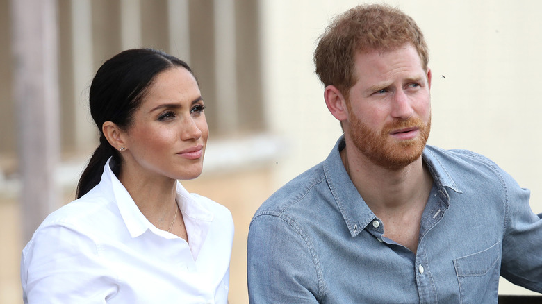 Harry and Meghan, without their children