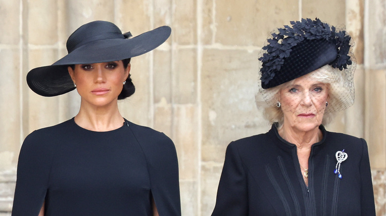 Meghan Markle and Queen Consort Camilla stand somberly