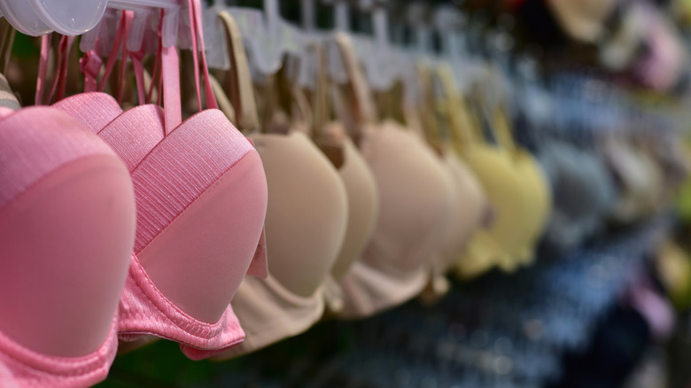 The List's Exclusive Survey Shows Where Women Prefer To Shop For Bras