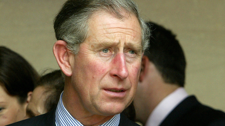 Prince Charles, 1994, who took part in multiple awkward royal family interview