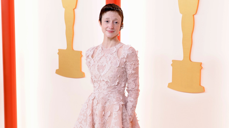 Andrea Riseborough in pink lace dress at the Oscars