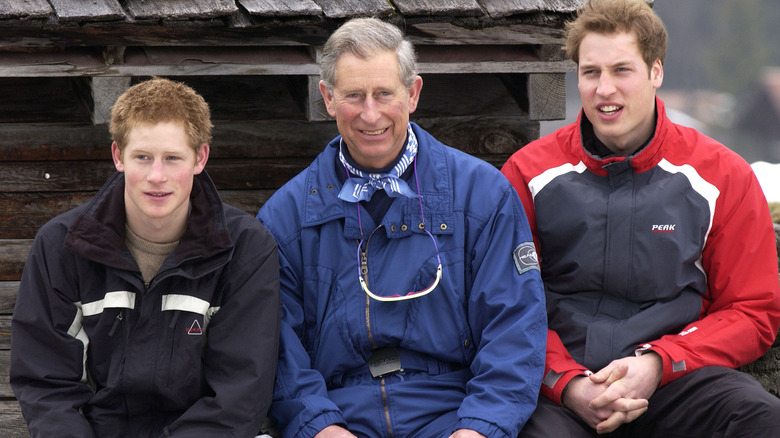 King Charles III, Prince Harry, and Prince William sat smiling