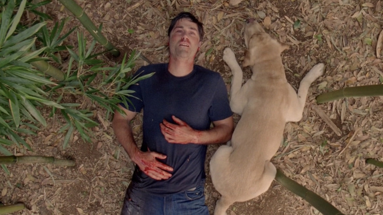 Jack dying in Lost