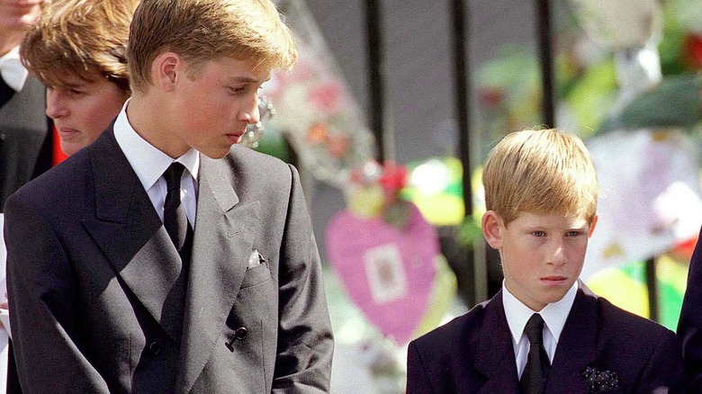 Prince William and Prince Harry at Diana's funeral