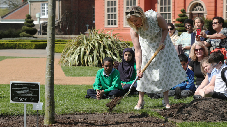 Sophie planting tree