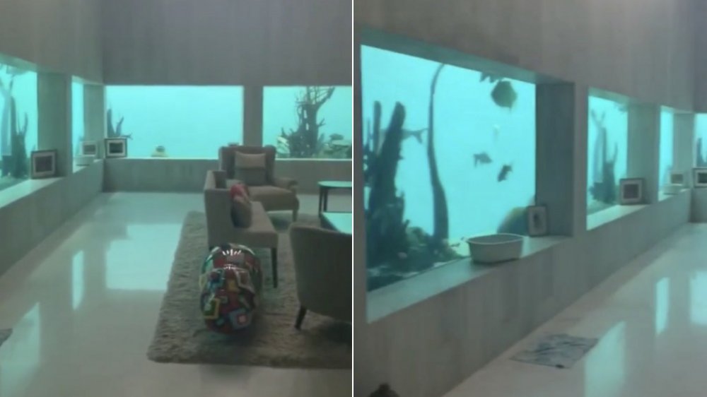 a TikTok home that's an aquarium