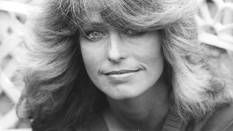 Farrah Fawcett feather hairstyle