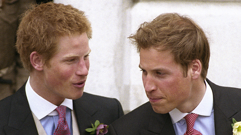 Princes Harry and William 2005