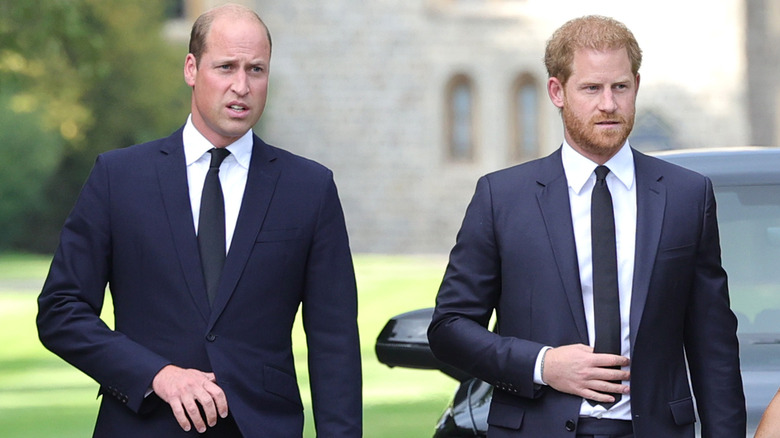 Prince Harry and Prince William