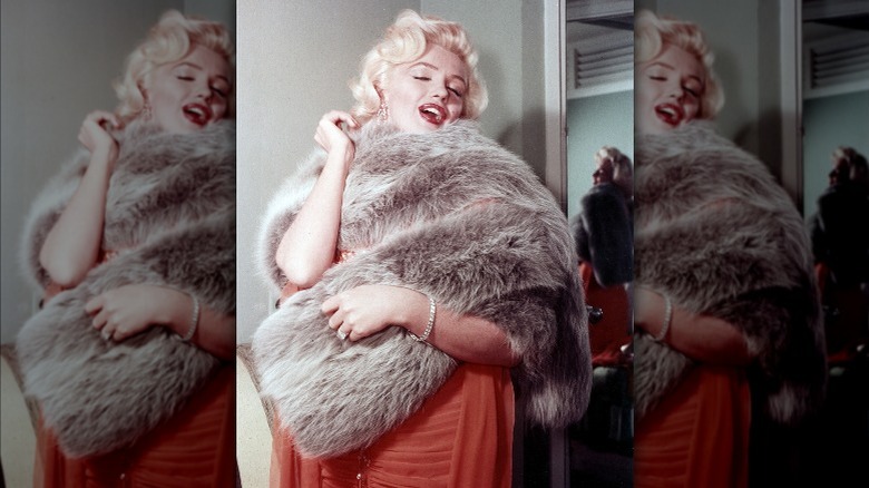 Marilyn Monroe wrapped in a fur shawl poses for a photo