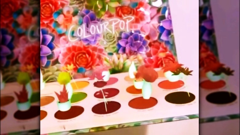 Piper ZY on TikTok augmented reality ColourPop eyeshadow palette