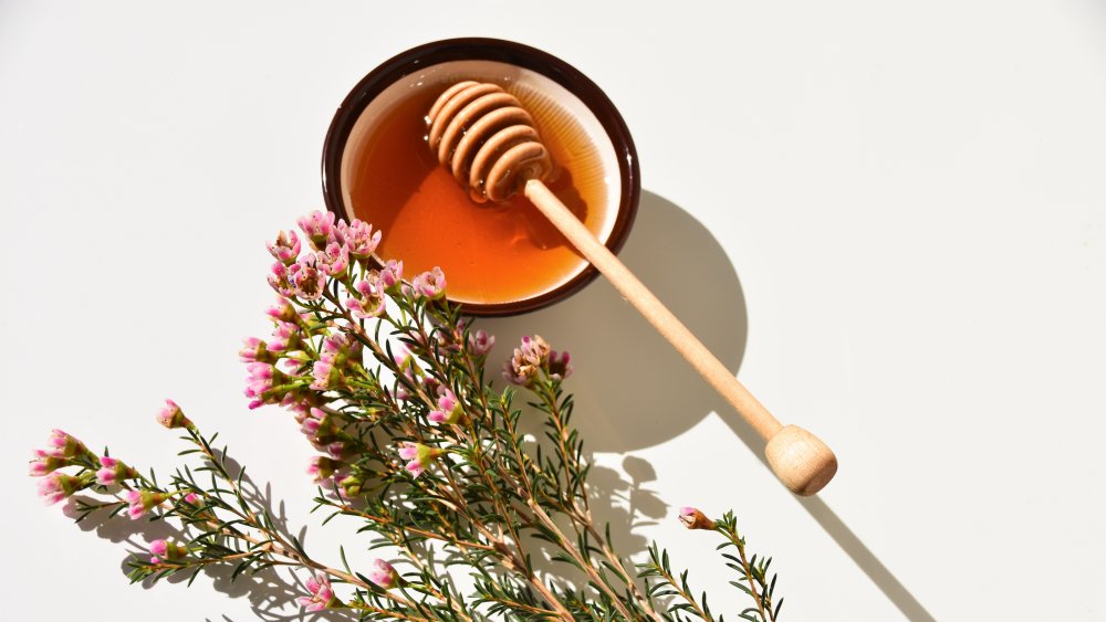 manuka honey