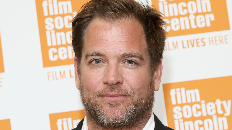 Michael Weatherly at a film event