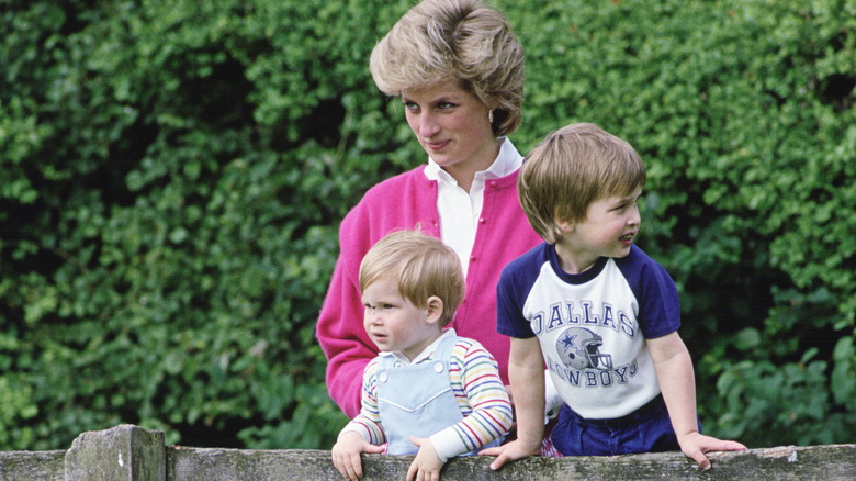 Princess Diana watches as her sons stand on a fence