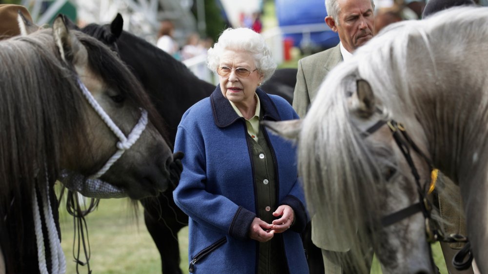 Queen Elizabeth among horses