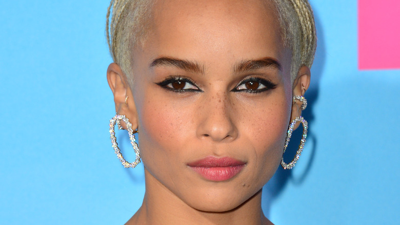 Zoe Kravitz poses at an event