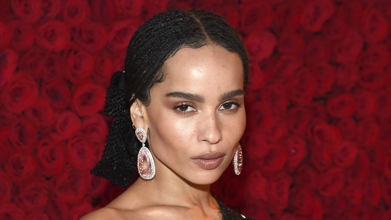 Zoe Kravitz poses on the red carpet