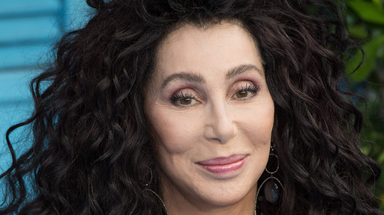 Cher looks at camera