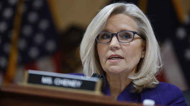 Liz Cheney speaking in congress